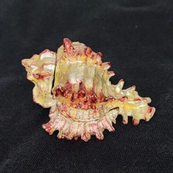 Monet Enamel Keepsake Hinged Collectible Trinket Box Gold "Hermit Crab" 2011 - Picture 1 of 9